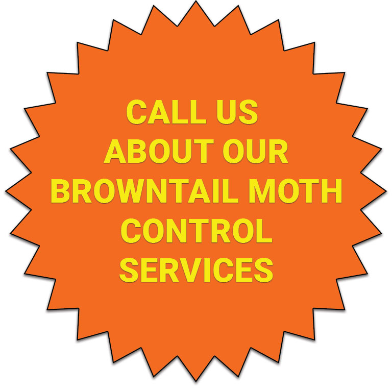 Call us about our browntail moth control services!