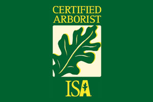 ISA