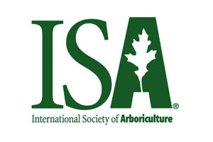 ISA