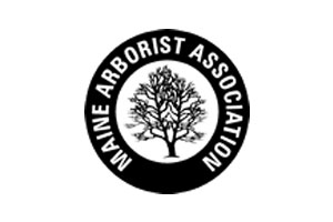 MAA