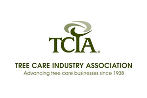 TCIA