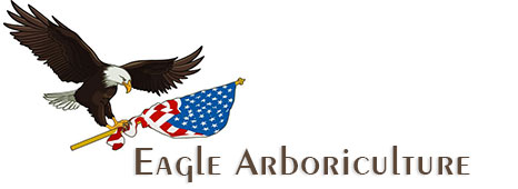 Eagle Arboriculture